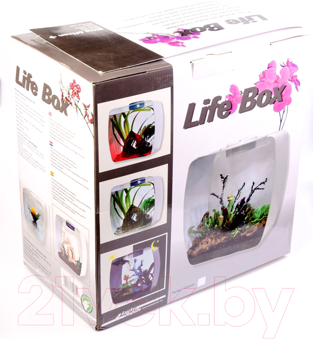 Террариум Lucky Reptile Life Box / LB-35W (белый) — фото 2