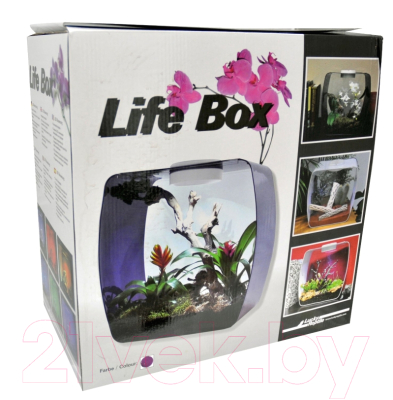 Террариум Lucky Reptile Life Box / LB-35P (фиолетовый)