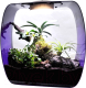 Террариум Lucky Reptile Life Box / LB-35P (фиолетовый) - 