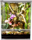 Террариум Lucky Reptile Sencillo / HTS-65W (белый) - 