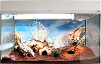 Террариум Lucky Reptile Стартовый комплект для гекконов / SK50DG-W (белый) - 
