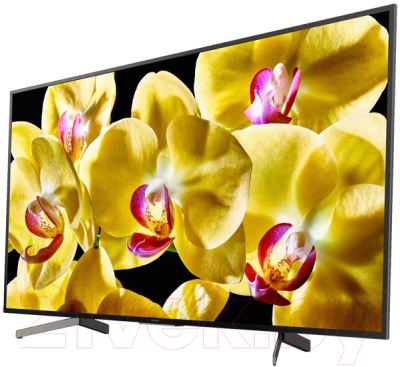 Телевизор Sony KD-43XG8096BR