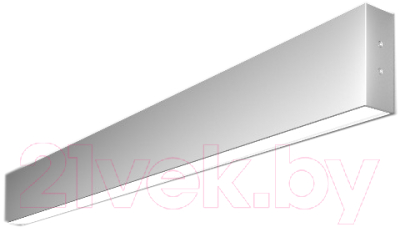 Подсветка для картин и зеркал Elektrostandard 101-100-40-78 30W 6500K (матовое серебро)