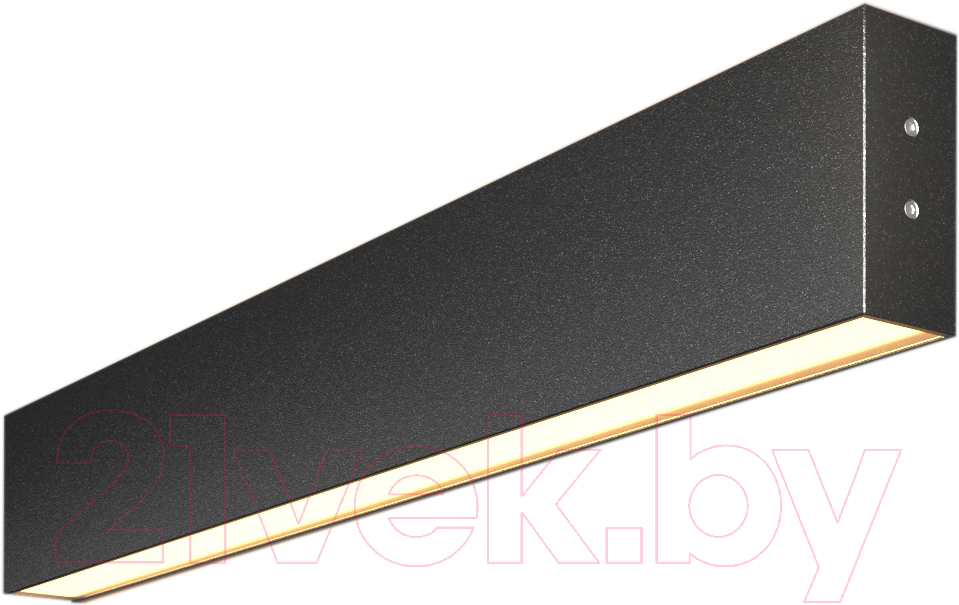 Подсветка для картин и зеркал Elektrostandard 101-100-40-53 20W 3000K (черная шагрень)