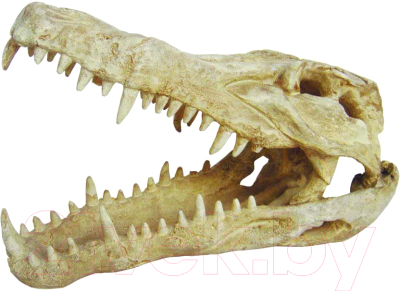 Декорация для террариума Lucky Reptile Skull Krokodil череп / DS-C
