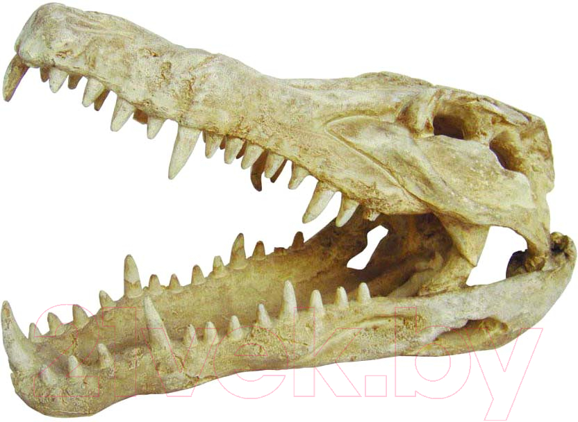Декорация для террариума Lucky Reptile Skull Krokodil череп / DS-C