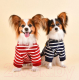Миниатюра изображения товара Свитер для животных Puppia Iven / PASD-TS1652-WN-L (L, красный)