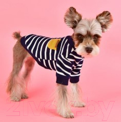 Свитер для животных Puppia Iven / PASD-TS1652-NY-M (M, синий)