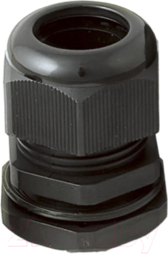 Изображение товара Сальник PG TDM SQ0806-0004