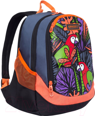 Школьный рюкзак Grizzly RD-953-3 (попугай)