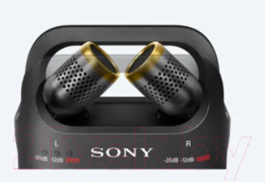 Цифровой диктофон Sony PCM-D10 / PCMD10.E