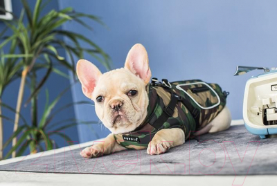 Жилетка для животных Puppia Pioneer / PLRD-VT9343-CA-S (S, камуфляж)
