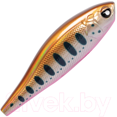 

Воблер Lucky John, Pro Series Anira F 06.90/105 / AN69F-105