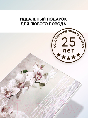 Картина Декарт Белая орхидея 8Л1638 (в раме)