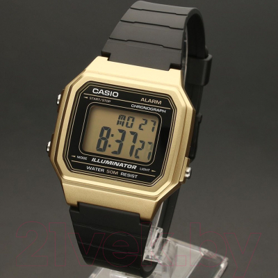 Часы наручные мужские Casio W-217HM-9AVEF