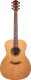 Акустическая гитара Baton Rouge AR21C/A - 
