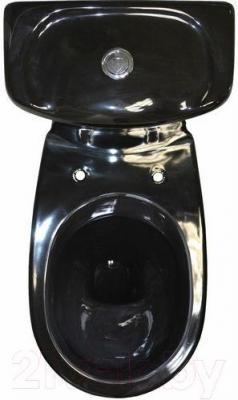 Унитаз напольный Керамин Омега Алкапласт (с черным, жестким сиденьем)