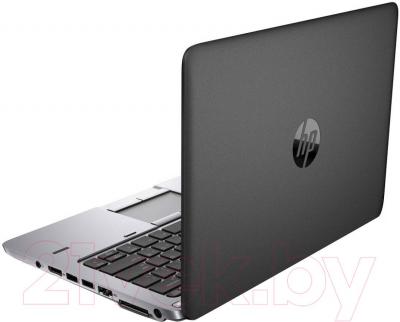 Ноутбук HP EliteBook 725 G2 (F1Q15EA) - вид сзади