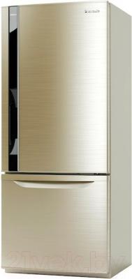 Холодильник с морозильником Panasonic NR-BY602XCRU - общий вид