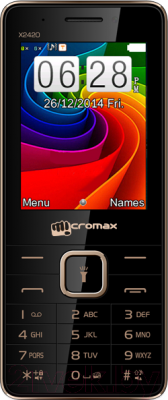 Мобильный телефон Micromax X2420 (черный) - общий вид