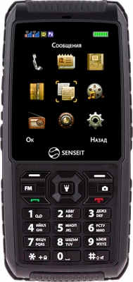 Мобильный телефон Senseit P101 (черный) - общий вид