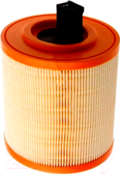 

Воздушный фильтр Mann-Filter, C14013