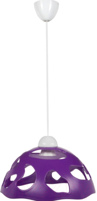 Потолочный светильник Erka 1304 (фиолетовый)