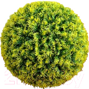 Искусственное растение Green Fly Самшит Мимоза / С-13-40