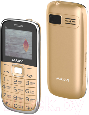 Мобильный телефон Maxvi B6 (золото)