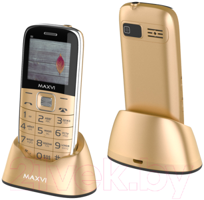Мобильный телефон Maxvi B6 (золото)