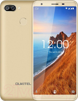 Смартфон Oukitel C11 Pro 3GB/16GB (золото)