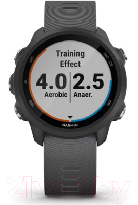 Умные часы Garmin Forerunner 245 / 010-02120-10 (черный/стальной)