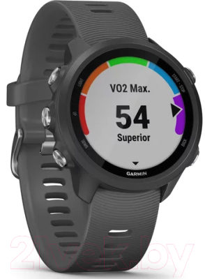 Умные часы Garmin Forerunner 245 / 010-02120-10 (черный/стальной)