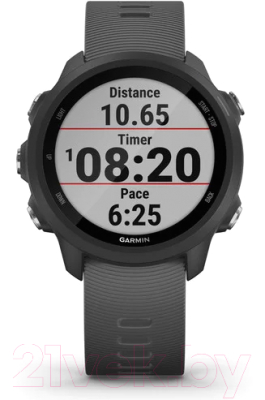 Умные часы Garmin Forerunner 245 / 010-02120-10 (черный/стальной)