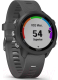 Миниатюра изображения товара Умные часы Garmin Forerunner 245 / 010-02120-10 (черный/стальной)