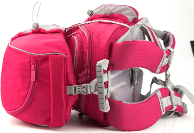 Изображение товара Спортивная сумка Kite Education Smart / K19-610S-1 (розовый)