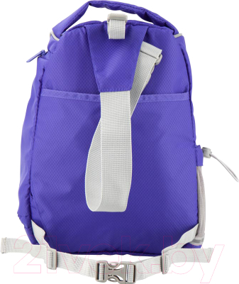 Изображение товара Спортивная сумка Kite Education Smart / K19-610S-3 (синий)