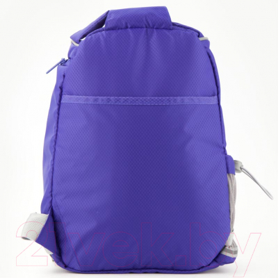 Изображение товара Спортивная сумка Kite Education Smart / K19-610S-3 (синий)
