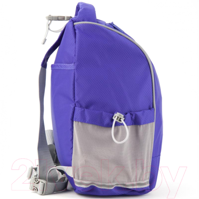 Изображение товара Спортивная сумка Kite Education Smart / K19-610S-3 (синий)