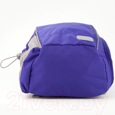 Изображение товара Спортивная сумка Kite Education Smart / K19-610S-3 (синий)