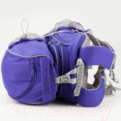 Изображение товара Спортивная сумка Kite Education Smart / K19-610S-3 (синий)