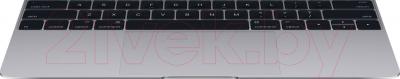 Ноутбук Apple MacBook (MJY32RS/A) - трэкпад