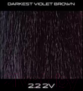Крем-краска для волос Wild Color 2.2 2V (180мл)