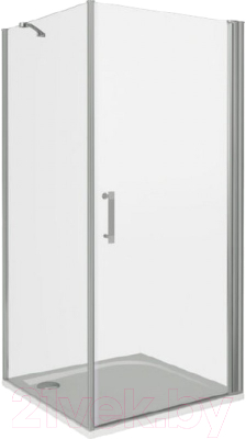 Душевой уголок Good Door Mokka DR-100-C-WE + SP-90-C-WE