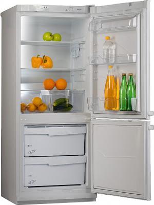 Холодильник с морозильником Pozis Мир 102-2 (Silver) - общий вид