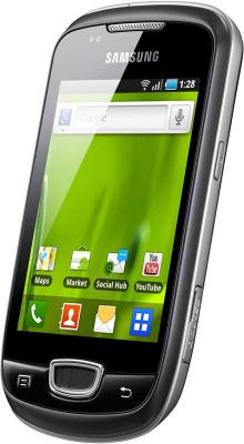 Смартфон Samsung S5570 Galaxy Mini Gray (GT-S5570 AAISER) - вид сбоку