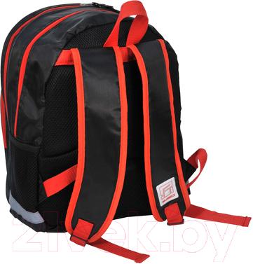 Школьный рюкзак Paso 15-163F - вид сзади