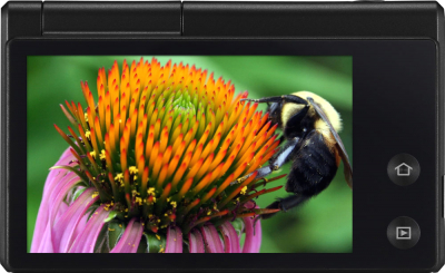 Компактный фотоаппарат Samsung MV800 (EC-MV800ZBPBRU) Black - вид сзади