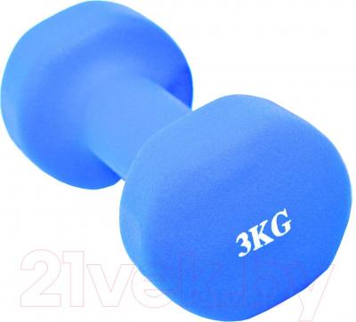Гантель ZEZ Sport 3kg (голубой)