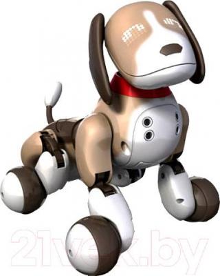 Робот Zoomer Бентли (20068498) - общий вид